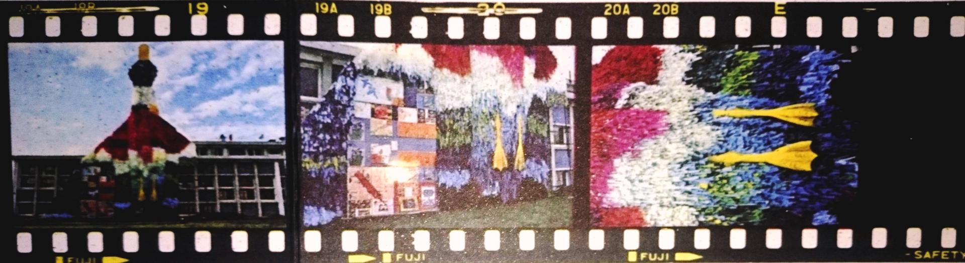 Dsc 1295